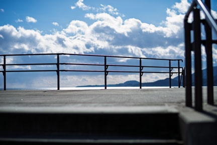 防潮堤の向こうに高田松原が見える